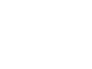 Treasure Valley Fence